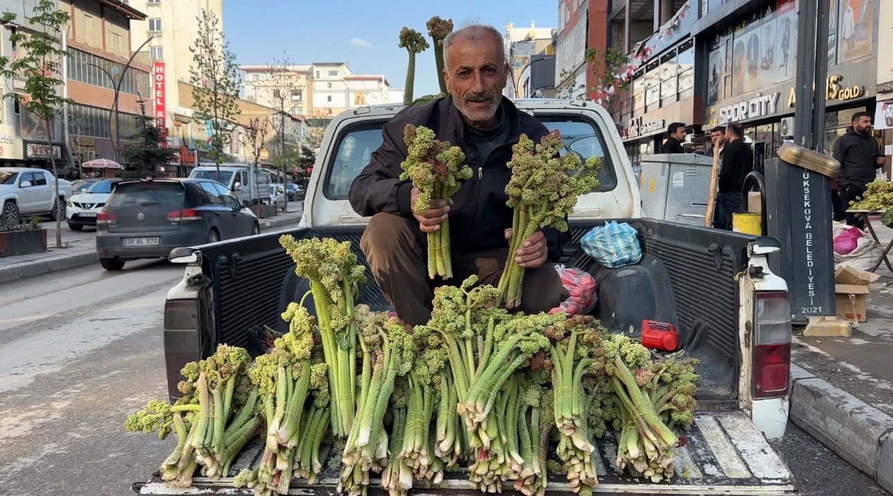 Sınırdan getirilen uçkunlar Yüksekova’da satışa sunuldu
