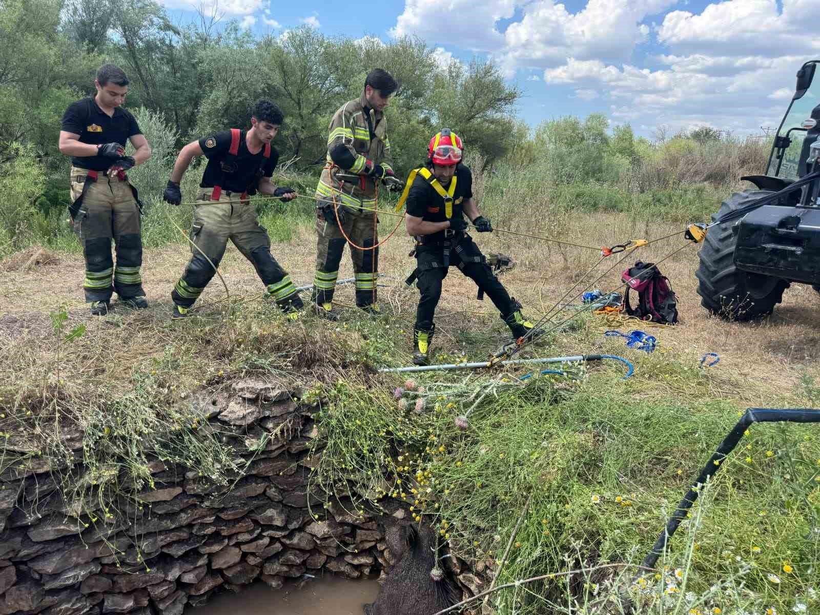 Su kuyusuna düşen yaban domuzu, itfaiye ekiplerince kurtarıldı
