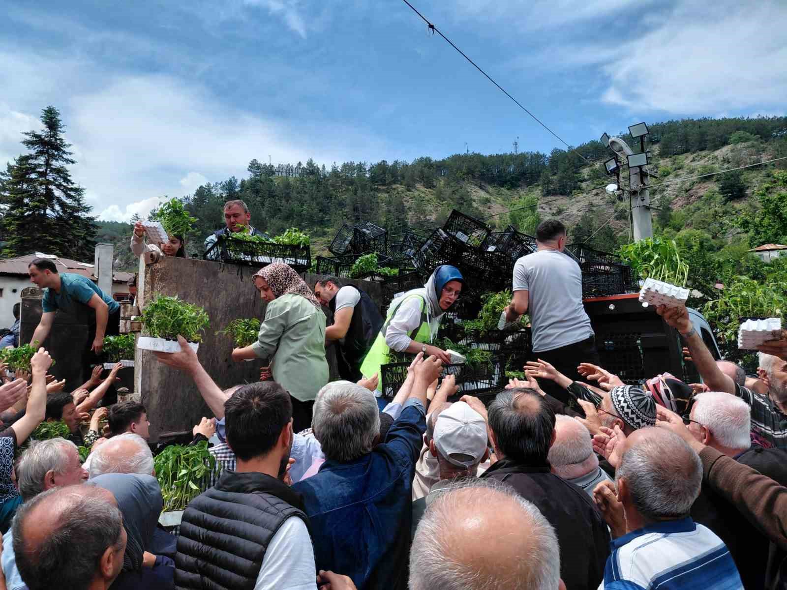 Bolu’da ücretsiz fide dağıtımına yoğun katılım
