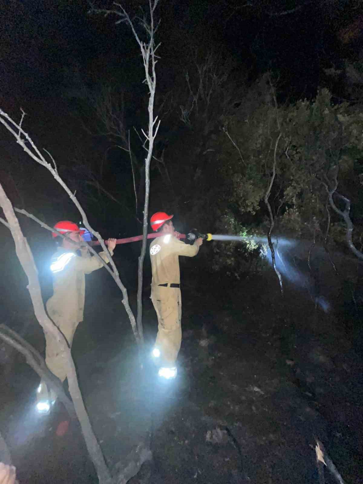 Ormanlık alandaki yangın büyümeden söndürüldü
